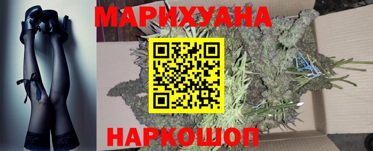 Канабис конопля Новороссийск